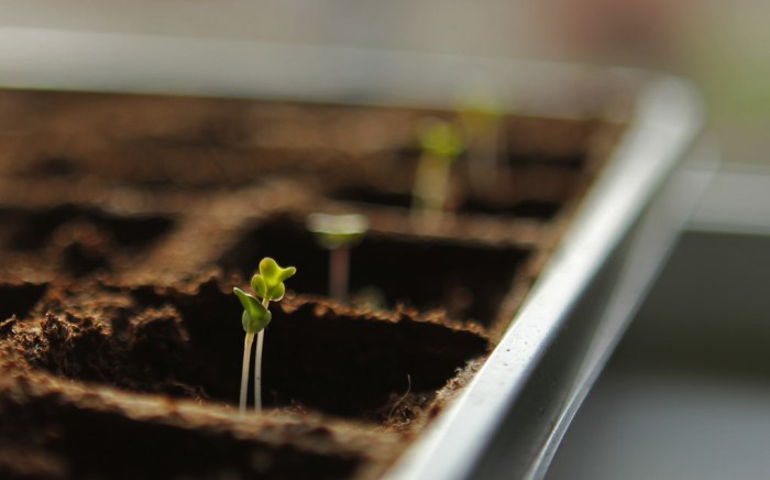 13193002523_02afd7b1d6_b