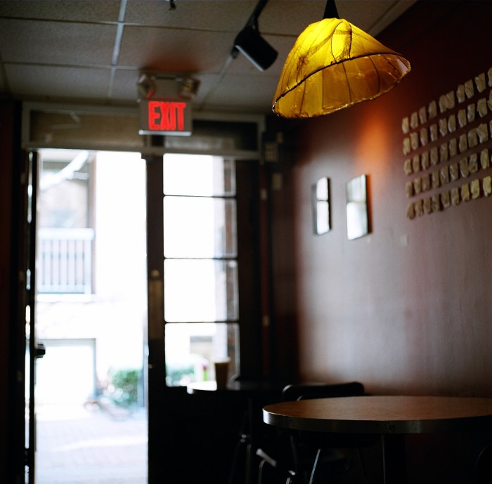 lindasilvapalleschilookout