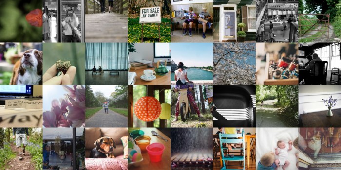 mosaic79ab360e838e1e4ce72ad39ab77dbfeced41a687