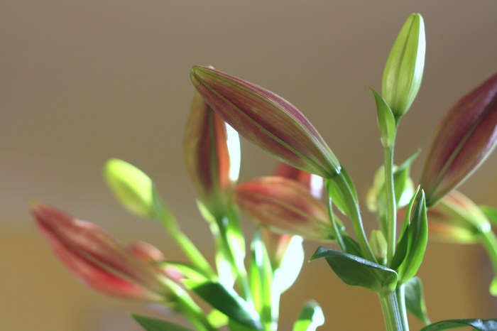 vanessarobinsonAfterHoursOuttake