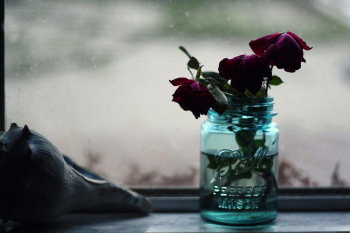 2.thehours.angela-h.petry